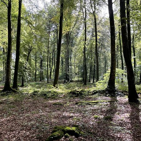 Le Courtil Villa Cerisy-la-Foret ภายนอก รูปภาพ